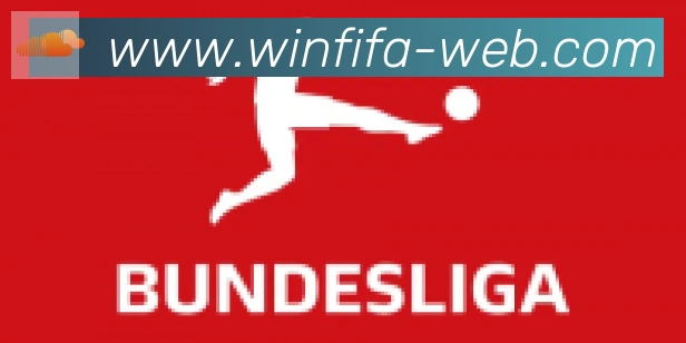 FIFA世界杯买球入口合作伙伴